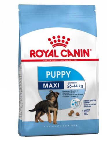 Royal Canin Maxi Junior/Puppy - Sac de 4 Kg