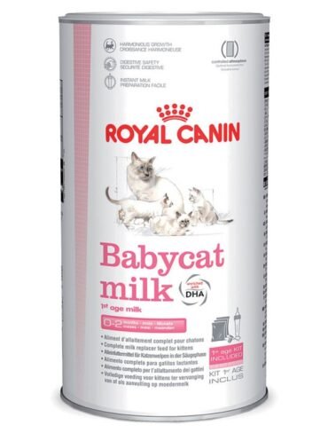 Royal Canin Lait maternisé Babycat