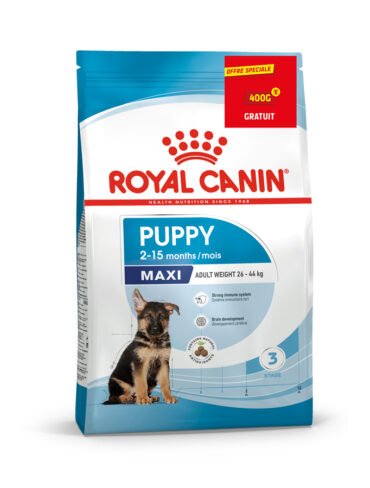 Royal Canin Maxi Junior/Puppy - Sac de 4 Kg