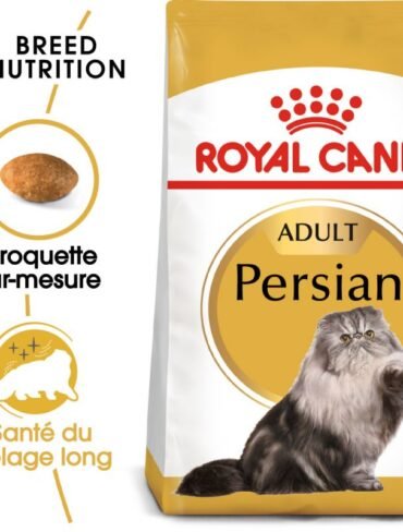 Royal Canin Persan Chat Adulte - Sac de 10 Kg