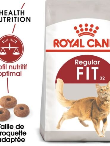 Royal Canin Chat FIT 32 - Sac de 10 Kg