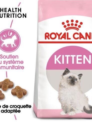 Royal Canin Chaton Kitten 36 - Sac de 4 Kg