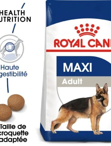 Royal Canin Maxi Adult pour chien - Sac de 15 Kg