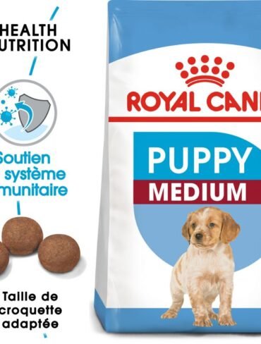 Royal Canin Medium Puppy / Junior - Sac de 4 Kg