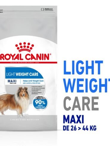 Royal Canin Maxi Light Weight Care - Sac de 15 Kg