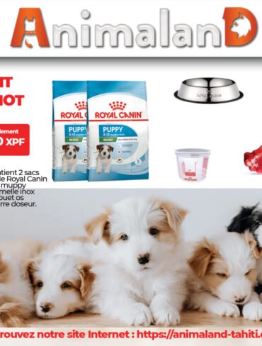 Pack d'accueil pour chiot.