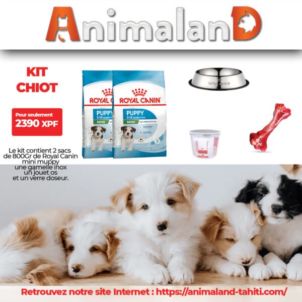 Pack d'accueil pour chiot. – Image 2