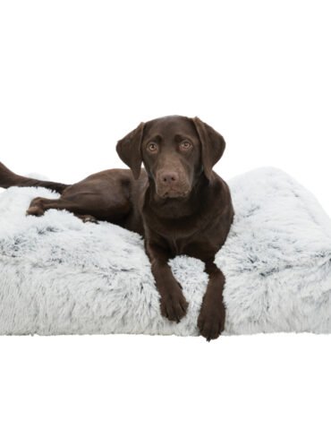 Coussin Harvey Rectangulaire