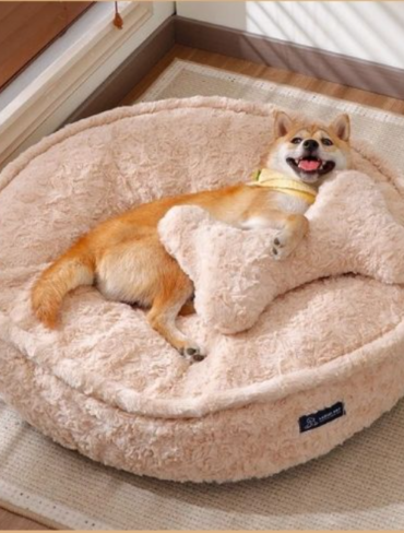 Coussin pour chien Rond Divan