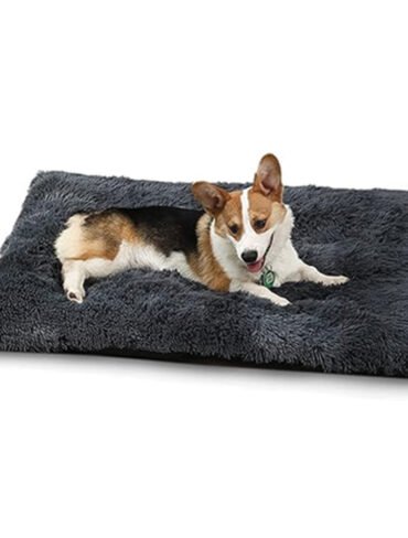 Lit pour Animaux