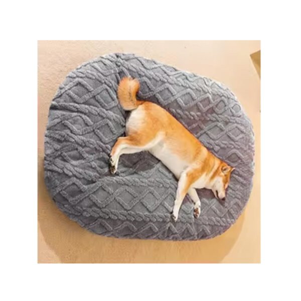 Lit pour animaux