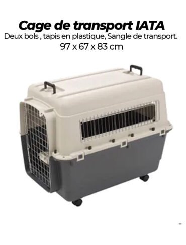 Cage de transport homologué IATA