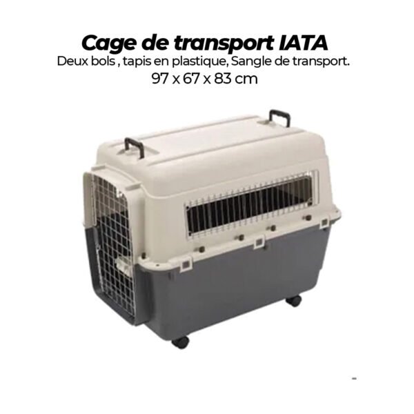 Cage de transport homologué IATA