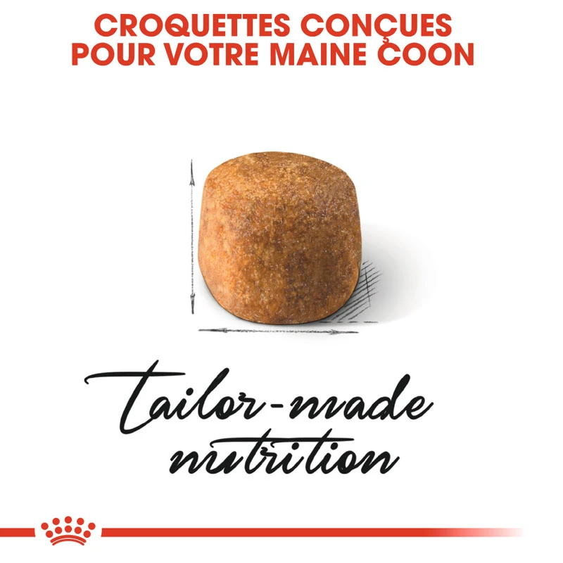 Royal Canin Maine Coon - 2 Kg – Image 4