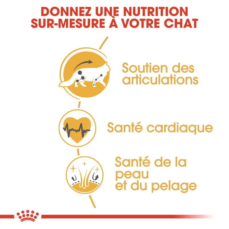Royal Canin Maine Coon - 2 Kg – Image 2