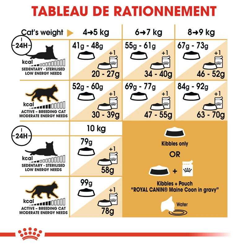 Royal Canin Maine Coon - 2 Kg – Image 3