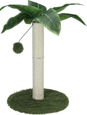 Arbre à Chat Palmier