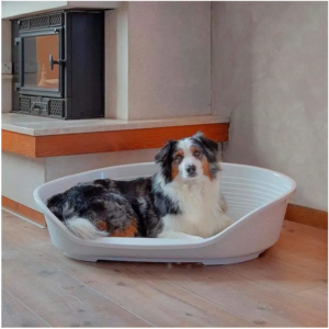 Corbeille Plastique pour chien